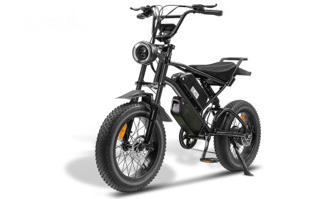 Ebike,1000W Motor,48V30Ah Battery,20 Inches,Maximum Speed 40-50KM