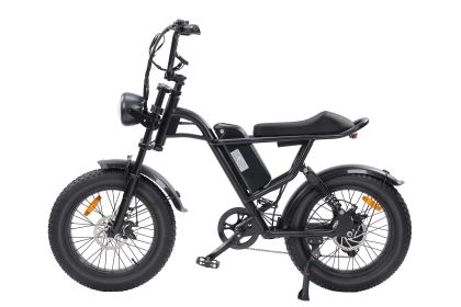 Ebike,750W Motor,48V15Ah Battery,20 Inches,Maximum Speed 40KM-H