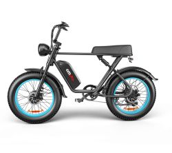 C91-20 Inch Dual-drive High-speed Electric Bike