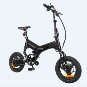 Electric Bicycle (Color: Black)