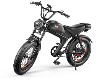 C93 - 20 Inch 20A Electric Bike (Option: A)