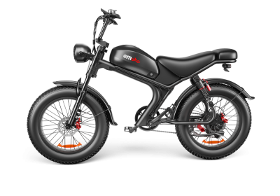 C93- Dual-drive High-speed Electric Bike (Option: A)