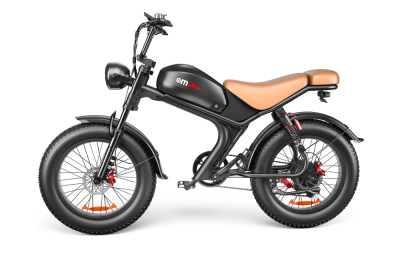 C93 - 20 Inch 20A Electric Bike (Option: B)